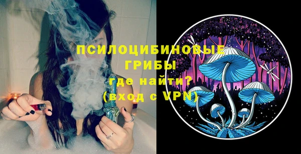 дмт Корсаков