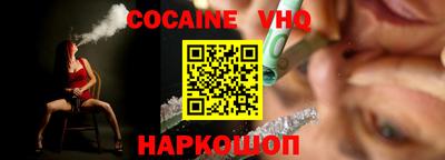 гашик Кингисепп