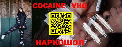 гашик Кингисепп