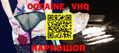 гашик Кингисепп