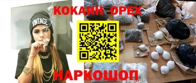 гашик Кингисепп