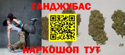 гашик Кингисепп
