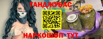 гашик Кингисепп
