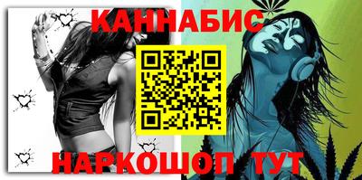 гашик Кингисепп