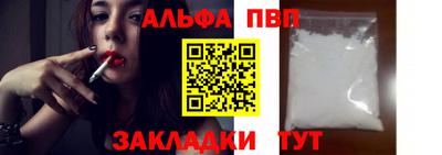 гашик Кингисепп