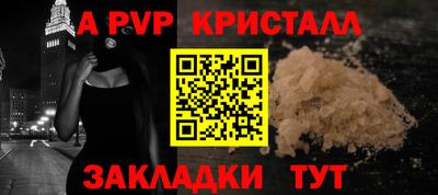 гашик Кингисепп