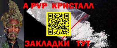 гашик Кингисепп