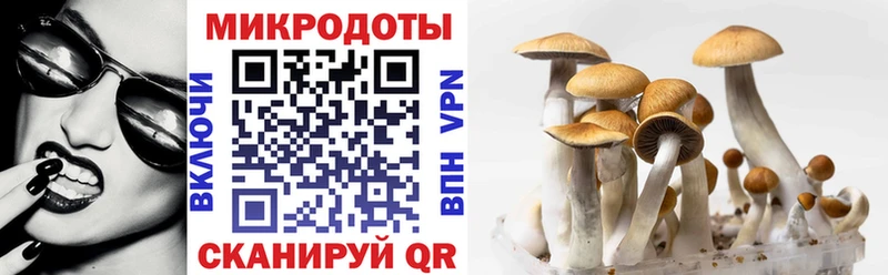 Галлюциногенные грибы Cubensis  blacksprut маркетплейс  Кудымкар 