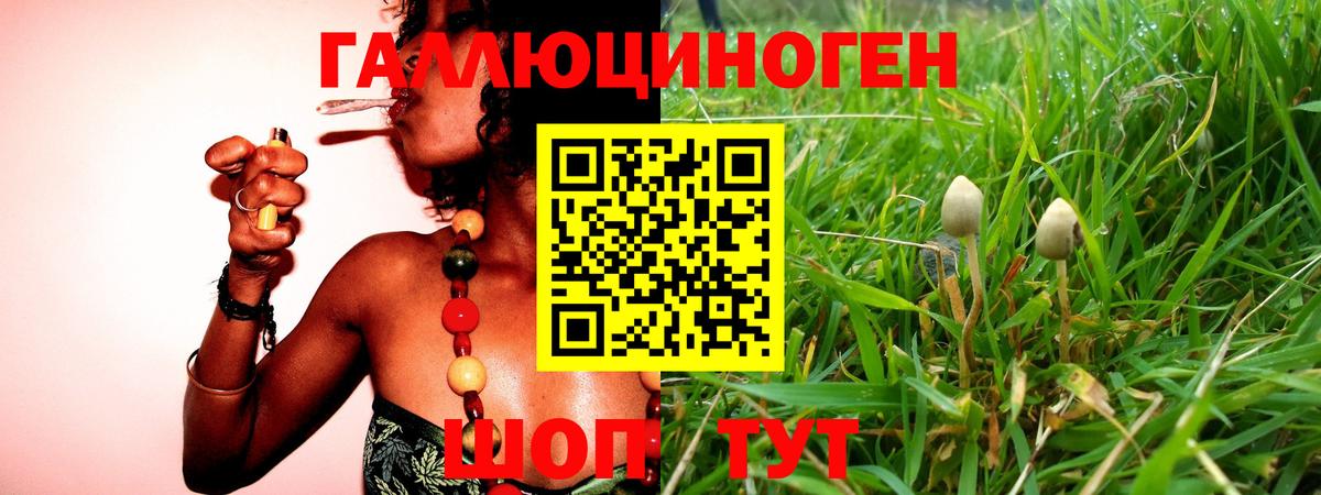 Псилоцибиновые грибы мухоморы Кудымкар